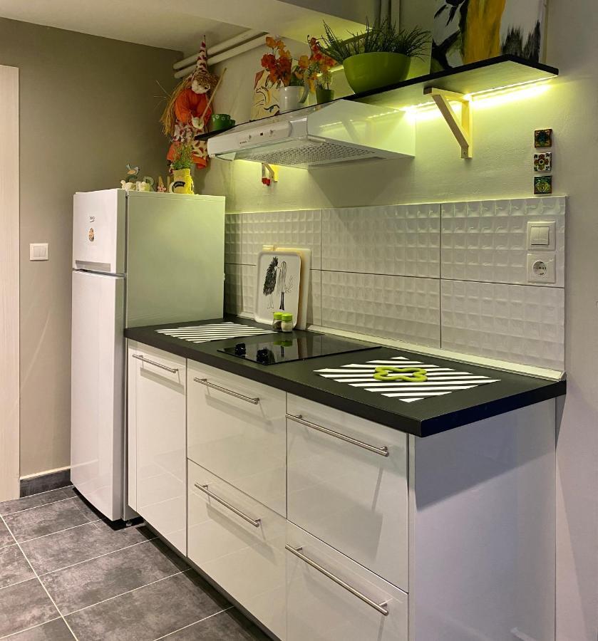 Paneon Apartments Nea Iraklitsa エクステリア 写真